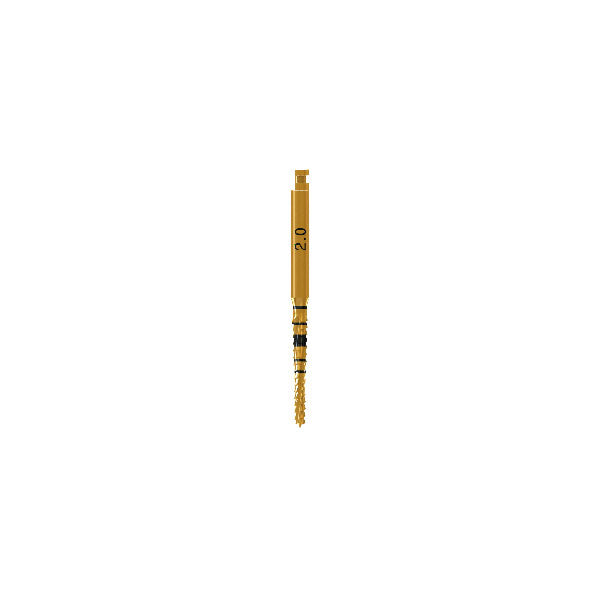 Lindermann Drill [CM]